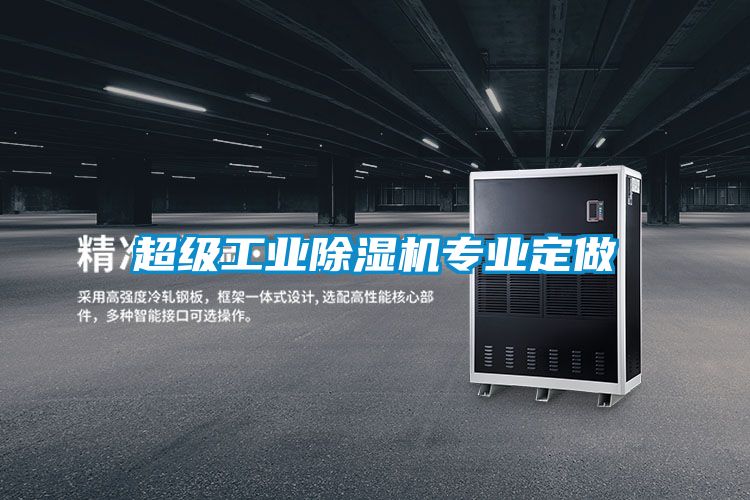 超級工業(yè)除濕機專業(yè)定做