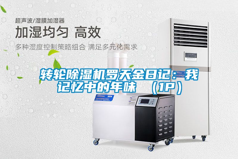 轉輪除濕機羅天金日記：我記憶中的年味 （1P）