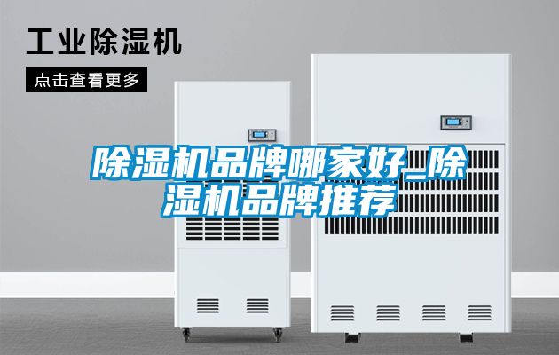 除濕機(jī)品牌哪家好_除濕機(jī)品牌推薦