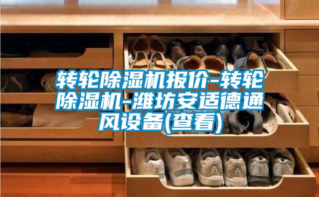 轉輪除濕機報價-轉輪除濕機-濰坊安適德通風設備(查看)