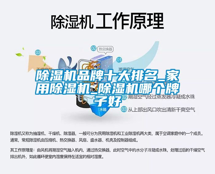 除濕機(jī)品牌十大排名_家用除濕機(jī)_除濕機(jī)哪個(gè)牌子好