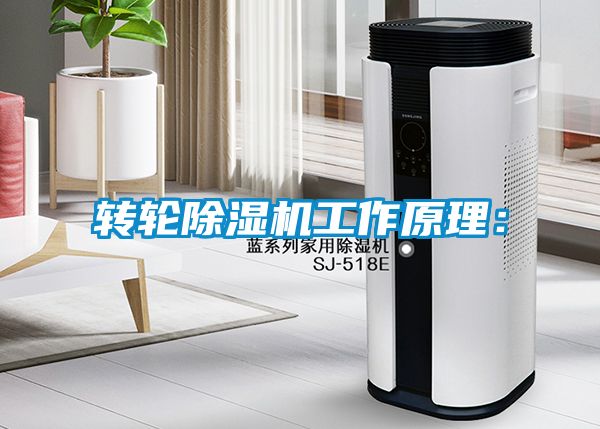 轉輪除濕機工作原理：