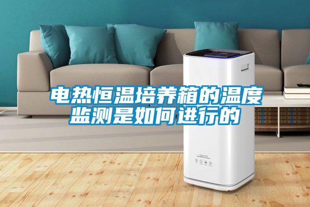 電熱恒溫培養(yǎng)箱的溫度監(jiān)測(cè)是如何進(jìn)行的