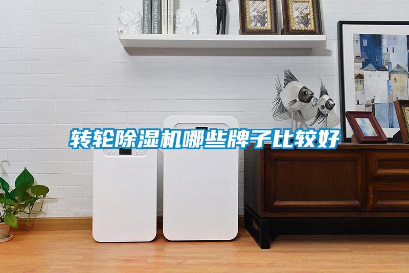 轉(zhuǎn)輪除濕機(jī)哪些牌子比較好
