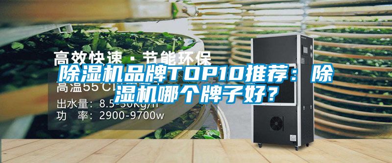 除濕機品牌TOP10推薦：除濕機哪個牌子好？
