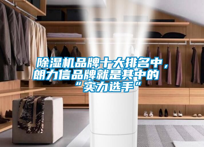 除濕機品牌十大排名中，朗力信品牌就是其中的“實力選手”