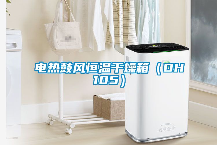 電熱鼓風(fēng)恒溫干燥箱（DH105）
