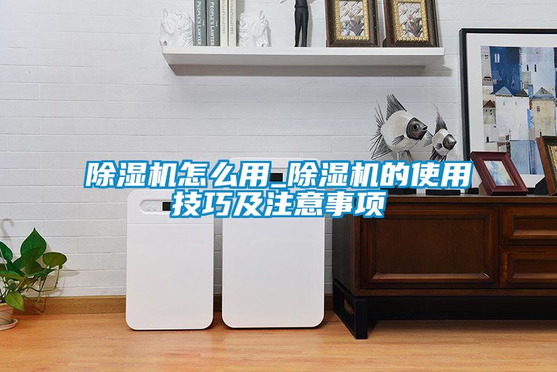 除濕機(jī)怎么用_除濕機(jī)的使用技巧及注意事項(xiàng)