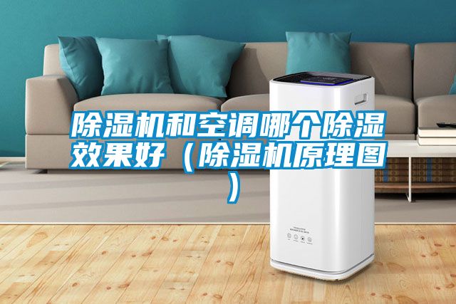 除濕機和空調哪個除濕效果好（除濕機原理圖）