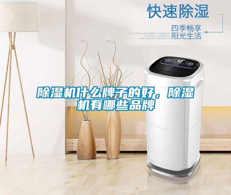 除濕機什么牌子的好，除濕機有哪些品牌
