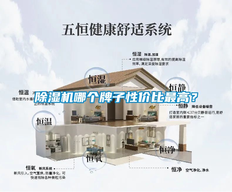 除濕機哪個牌子性價比最高？