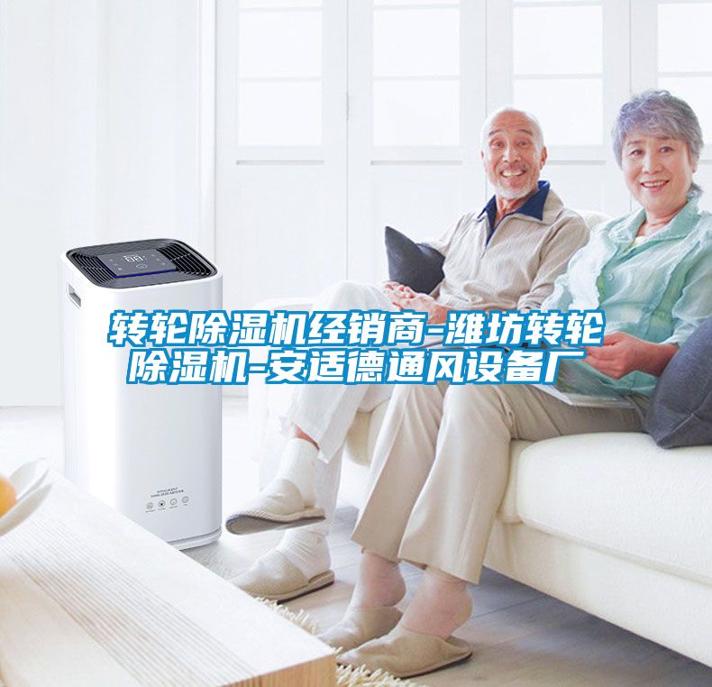 轉輪除濕機經銷商-濰坊轉輪除濕機-安適德通風設備廠