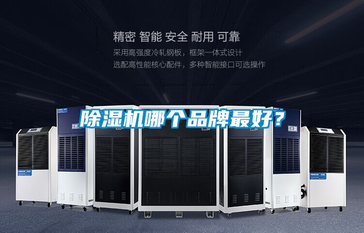 除濕機哪個品牌最好？