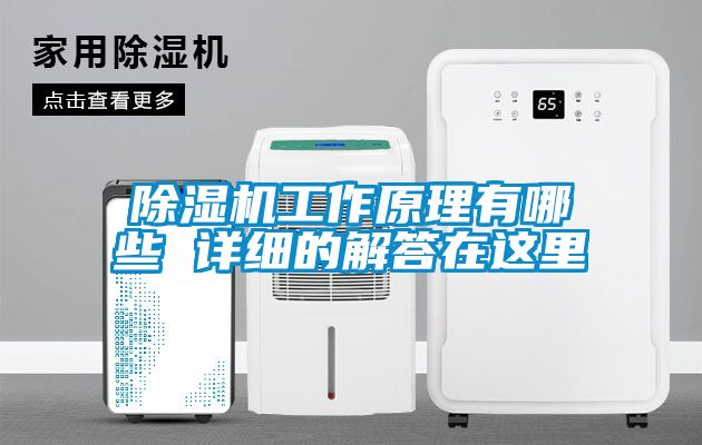 除濕機工作原理有哪些 詳細的解答在這里