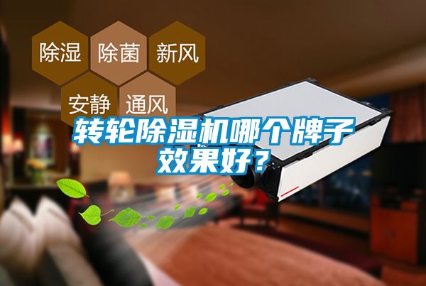 轉輪除濕機哪個牌子效果好？