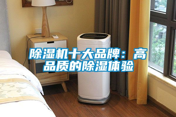 除濕機十大品牌：高品質的除濕體驗