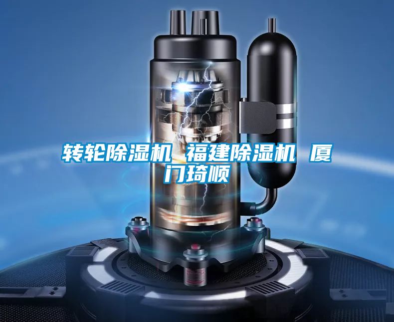 轉(zhuǎn)輪除濕機(jī) 福建除濕機(jī) 廈門(mén)琦順