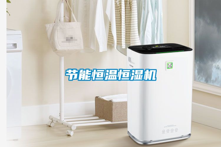 節能恒溫恒濕機