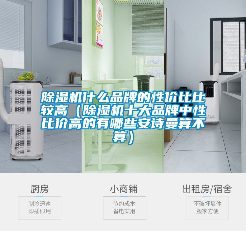 除濕機什么品牌的性價比比較高（除濕機十大品牌中性比價高的有哪些安詩曼算不算）