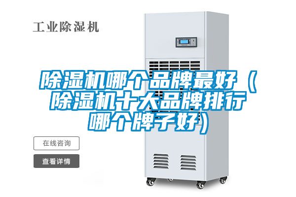 除濕機哪個品牌最好（除濕機十大品牌排行哪個牌子好）