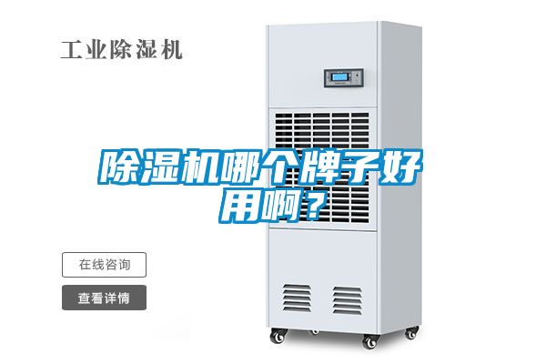 除濕機哪個牌子好 用啊？