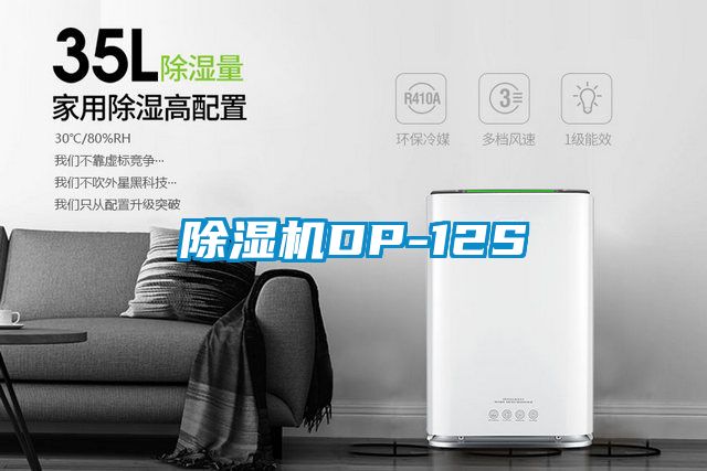 除濕機DP-12S