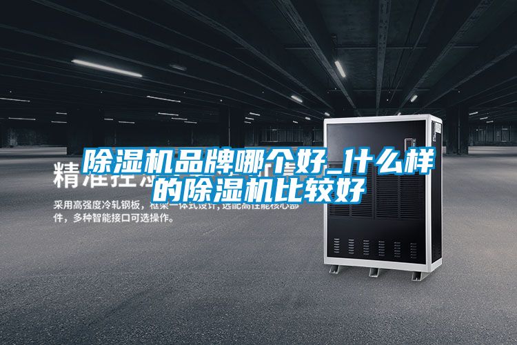 除濕機品牌哪個好_什么樣的除濕機比較好