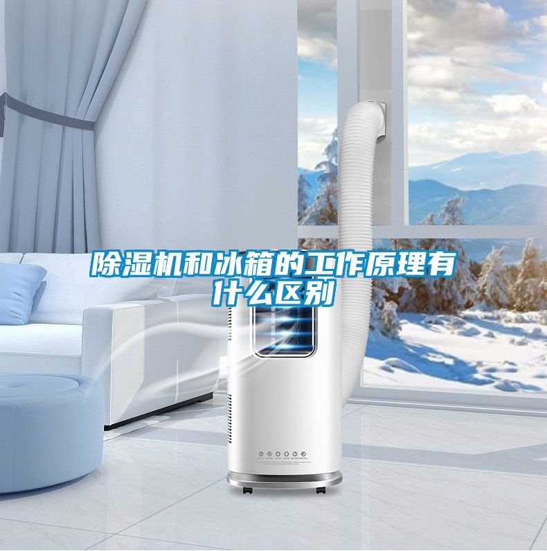 除濕機和冰箱的工作原理有什么區別