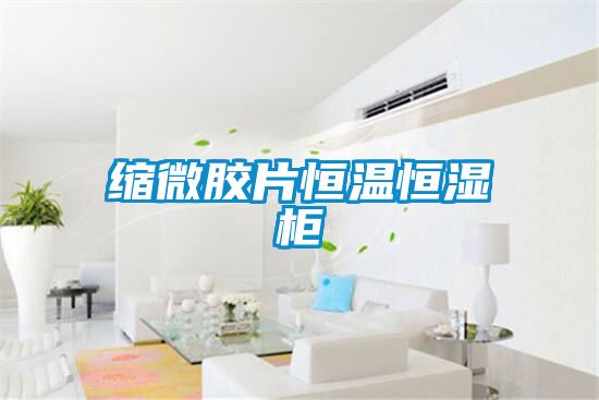 縮微膠片恒溫恒濕柜