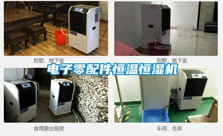 電子零配件恒溫恒濕機