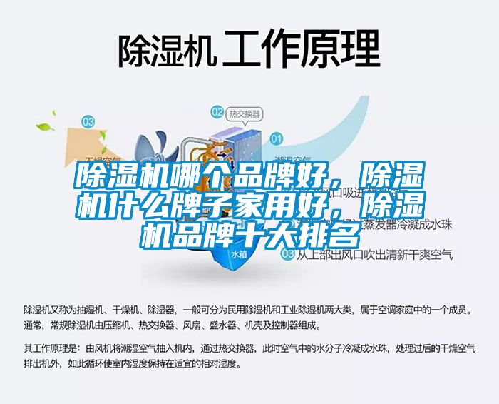 除濕機(jī)哪個(gè)品牌好，除濕機(jī)什么牌子家用好，除濕機(jī)品牌十大排名