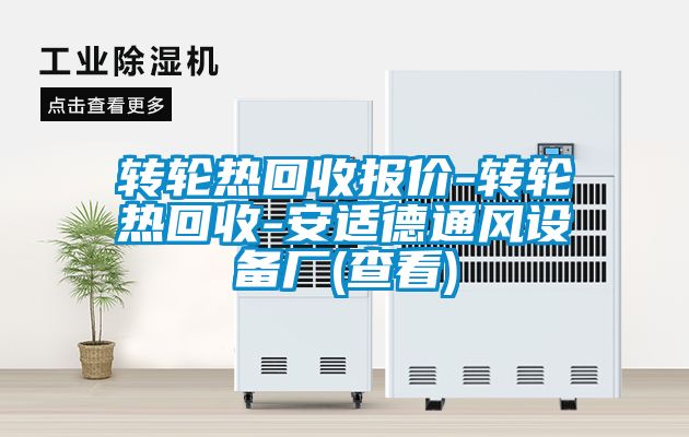 轉(zhuǎn)輪熱回收?qǐng)?bào)價(jià)-轉(zhuǎn)輪熱回收-安適德通風(fēng)設(shè)備廠(查看)