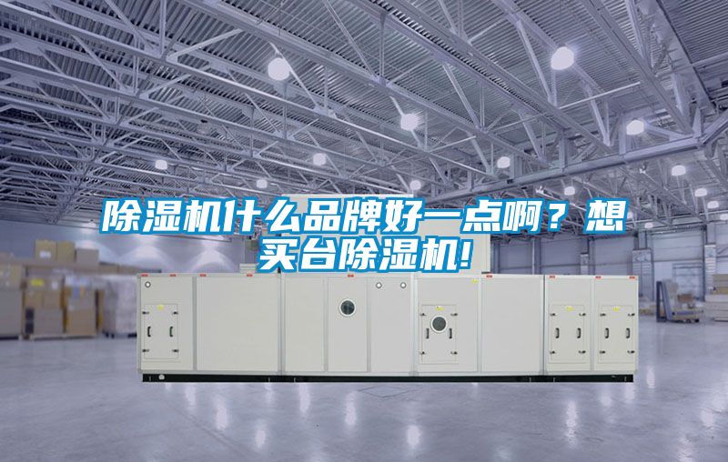 除濕機什么品牌好一點啊？想買臺除濕機!