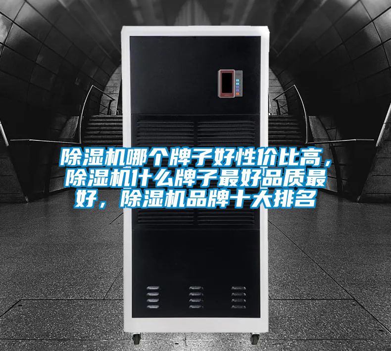 除濕機(jī)哪個牌子好性價比高，除濕機(jī)什么牌子最好品質(zhì)最好，除濕機(jī)品牌十大排名