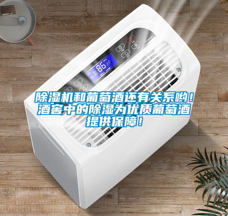 除濕機和葡萄酒還有關系喲！酒窖中的除濕為優質葡萄酒提供保障！
