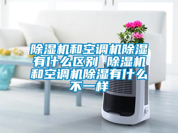 除濕機和空調機除濕有什么區別 除濕機和空調機除濕有什么不一樣