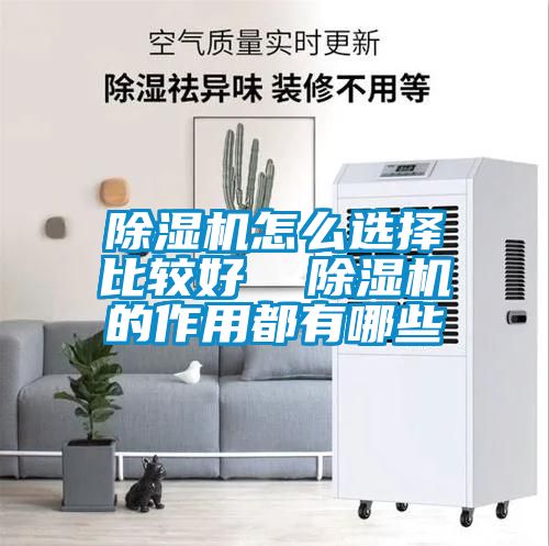 除濕機怎么選擇比較好  除濕機的作用都有哪些