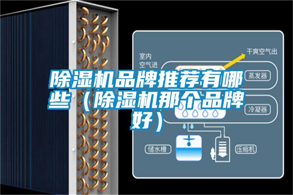 除濕機品牌推薦有哪些（除濕機那個品牌好）