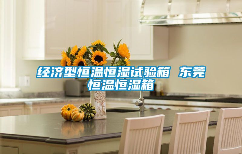 經(jīng)濟型恒溫恒濕試驗箱 東莞恒溫恒濕箱