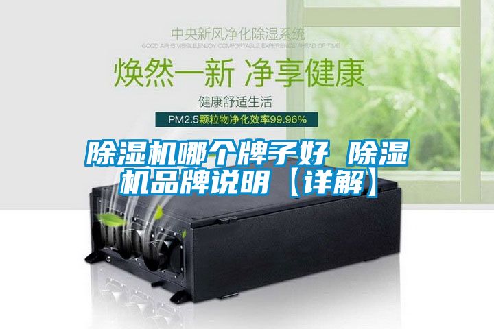 除濕機(jī)哪個(gè)牌子好 除濕機(jī)品牌說明【詳解】