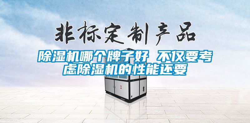 除濕機哪個牌子好 不僅要考慮除濕機的性能還要
