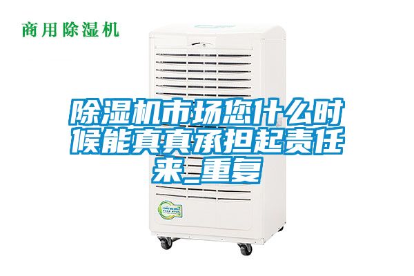 除濕機(jī)市場您什么時候能真真承擔(dān)起責(zé)任來_重復(fù)