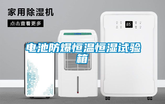 電池防爆恒溫恒濕試驗(yàn)箱