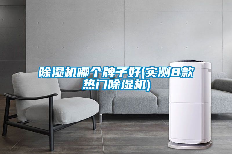 除濕機哪個牌子好(實測8款熱門除濕機)