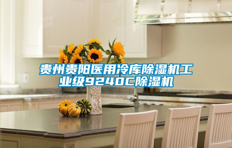 貴州貴陽醫(yī)用冷庫除濕機工業(yè)級9240C除濕機