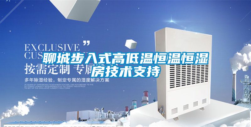 聊城步入式高低溫恒溫恒濕房技術支持