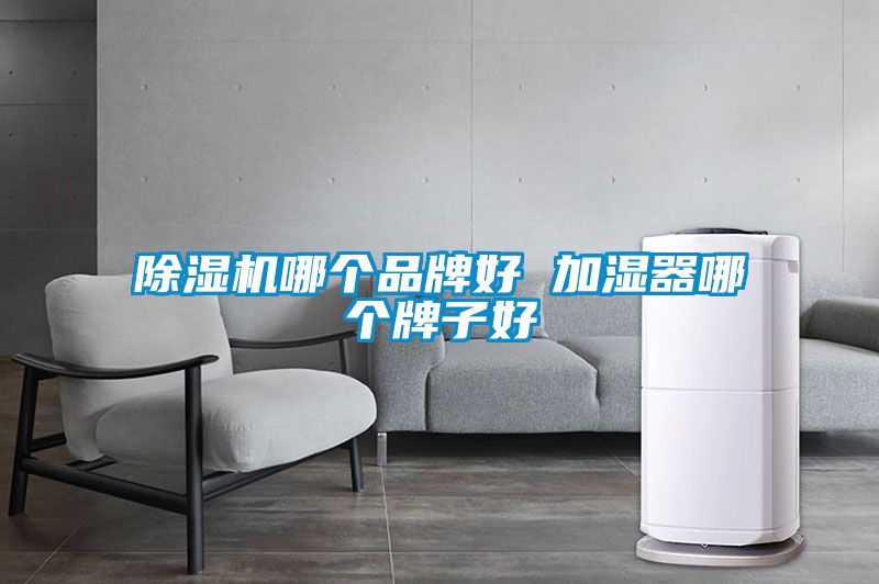 除濕機哪個品牌好 加濕器哪個牌子好