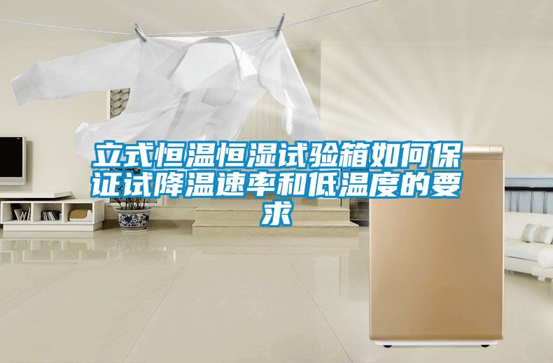 立式恒溫恒濕試驗箱如何保證試降溫速率和低溫度的要求