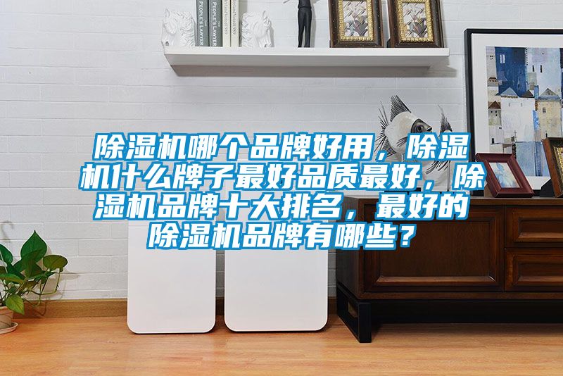 除濕機哪個品牌好用，除濕機什么牌子最好品質(zhì)最好，除濕機品牌十大排名，最好的除濕機品牌有哪些？