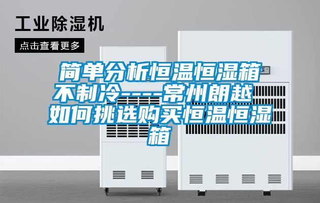 簡單分析恒溫恒濕箱不制冷----常州朗越 如何挑選購買恒溫恒濕箱